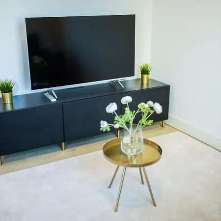アパート Fancy 1 Bedroom 51m2 -ss177f- ロッテルダム